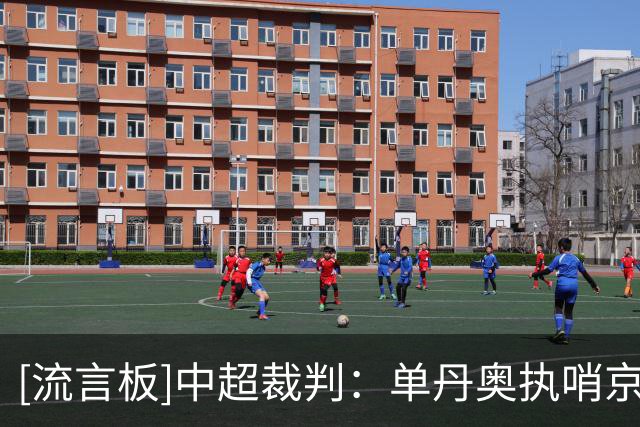 [流言板]中超裁判：单丹奥执哨京鲁之战，严立夫执哨申花浙江